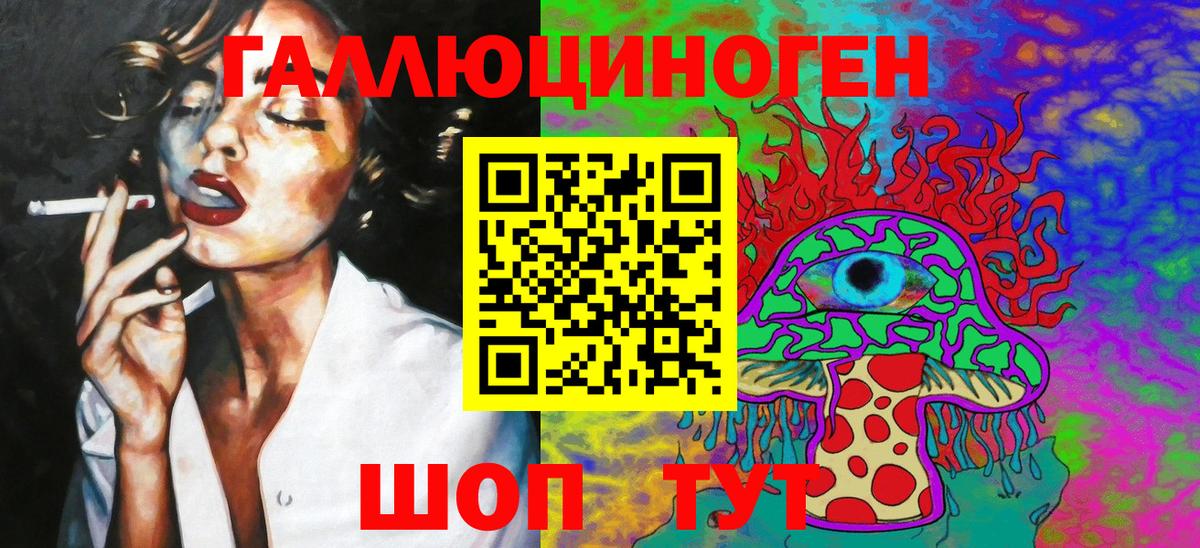 Псилоцибиновые грибы Psilocybine cubensis Чита