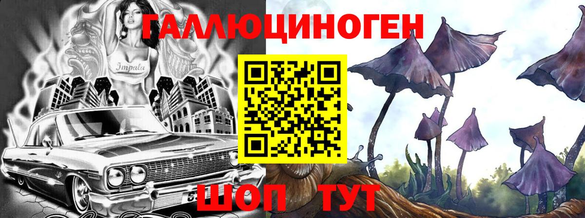 купить наркоту  Галлюциногенные грибы Cubensis  Вход с VPN  Чита 