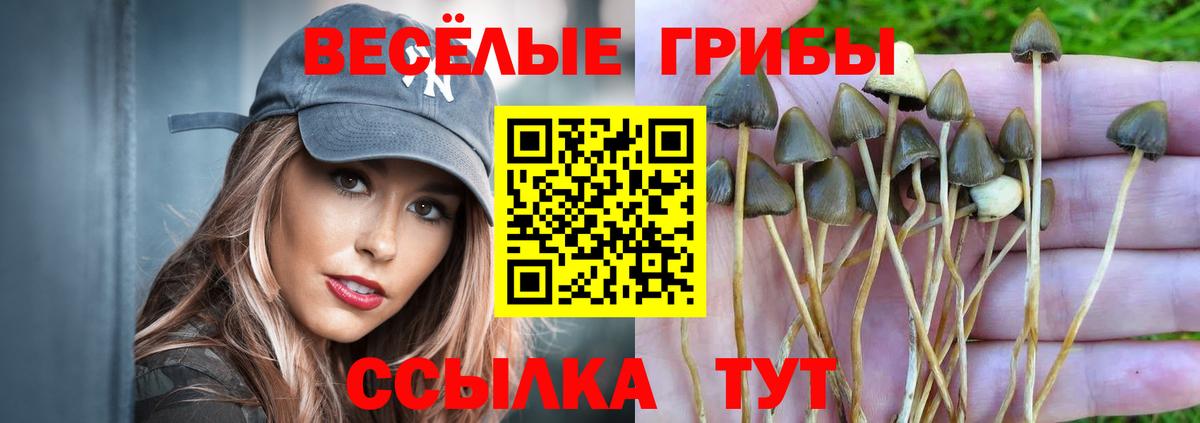 Меф МЯУ МЯУ  ГАШ  ГАШ  MDMA  COCAIN  МЕФ кристаллы  Марихуана  Вход с VPN  Чита  APVP СК  
